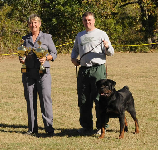 Nik with owner Warren Johnson of Vonwarterr Rottweilers  and USRC judge Lucy Ang